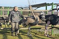 Košická zoo oslavuje 40. narodeniny: Ošetrovateľka Erika ťaviatko piplala v paneláku