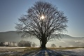 Blíži sa najkratší deň roka! Zimný slnovrat nastane v pondelok 21. decembra, sprevádzať ho bude vzácny úkaz