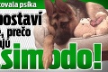 Rodina si adoptovala psíka: Keď sa postaví, pochopíte, prečo ho volajú Quasimodo!