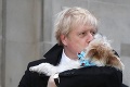 Voľby v Británii: Za Corbynom šla demonštrantka v chlpatom kostýme, Johnson bozkával psa