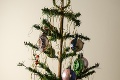 Prežil výbuch bomby aj svetovú vojnu: Tento vianočný stromček nemá konkurenciu