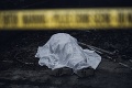 Polícia našla rozštvrtené telo ženy: Z vraždy podozrievajú jej syna