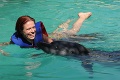 Plávanie s delfínmi sa zmenilo na horor: Dievčatko stiahli pod vodu, matka sa musela len prizerať