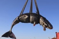 Na pobreží Sardínie našli mŕtvu veľrybu: Za to, čo našli v jej žalúdku, bude raz ľudstvo pykať!