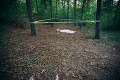 Polícia objavila v lese mŕtve telo: Patrí nezvestnej britskej turistke?