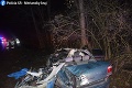Auto vyletelo z cesty a narazilo do stromu: Jeden človek bol na mieste mŕtvy