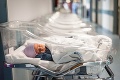 Pohľad, ktorý trhá srdce: Na Ukrajine uviazlo kvôli pandémii vyše 100 bábätiek