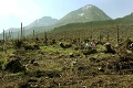 Od najväčšej veternej kalamity v Tatrách ubehlo 15 rokov: Lesníci už vysadili milióny sadeníc