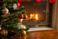 Spustil predaj vianočných stromčekov: Pán Švec ich pestuje priamo vo svojom sade