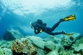 Výskumníci objavili v Mexiku päť nových korálových útesov: Najdlhší objavený v danej oblasti