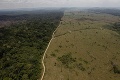 Smutná štatistika: Rozsah odlesňovania v amazonskom pralese dosiahol najvyššiu úroveň od roku 2008