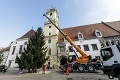 Prípravy na najkrajšie sviatky roka v Bratislave: Centrum už zdobí stromček, v Dúbravke vystavia skutočnú vzácnosť!