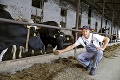 Na Slovensku vznikne megafarma s 1 400 kravami: Pomôže vyriešiť maslovú krízu?!