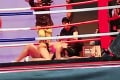 České pornoherečky v ringu: Boxerský zápas zakončili šteklivou erotikou