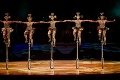 Zakladateľa Cirque du Soleil zadržali: Pestoval marihuanu?!