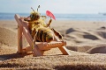 Francúzska nadácia bojuje proti vymieraniu včiel: Bzučiaca influencerka má zmeniť svet