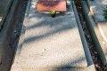 Ako vyzerajú hroby slávnych Slovákov? Detail na pomníku speváčky Jany Kocianovej († 72) sa nedá prehliadnuť