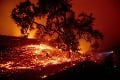 Vo vinárskej oblasti Kalifornie vyčíňa mohutný požiar: Stovky ľudí museli opustiť svoje domovy