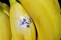 Peter sa preberal regálom, vtom sa mu naskytol šokujúci pohľad: Nechutné, čo vykuklo rovno z banánov!