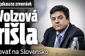 Pojednávanie v megakauze zmeniek: Sylvia Volzová neprišla, bojí sa pricestovať na Slovensko