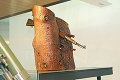 Spoznajte príbehy najväčších pokladov Múzea SNP: Uniforma železného kapitána a puška vrastená do stromu