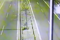 Šialené VIDEO z diaľnice D2: Ožratý mladík to napálil do zvodidiel
