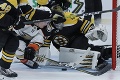 Halák pomohol k výhre Bostonu Bruins, Pastrňák sa blysol štyrmi gólmi