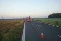 Ranná dopravná nehoda v okrese Levice si vyžiadala obeť a zranených: Cesta je uzatvorená