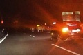 Vystrašení vodiči na Liptove: Po diaľnici sa špacírovali kravy, zasahovala polícia