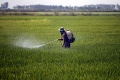 Neuveríte, čo môžu zapríčiniť pesticídy: Riziko tejto choroby zvyšujú až o 250 percent!