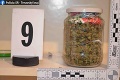 Policajti odhalili v rodinnom dome v Šoporni drogy: Zelené rastliny mali až 185 centimetrov