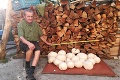 František objavil na Záhorí raj hubárov: Obrovské kusy vážili cez 1 kilo!