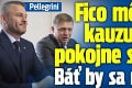 Pellegrini: Fico môže pre kauzu Gorila pokojne spávať. Báť by sa mali iní