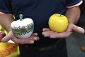 Záhradkár Milan z Novák vypestoval najkrajšie jablko roka 2018: Takto vyzerá šťavnatý víťaz