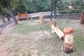 Namiesto kúzelnej paličky, motorová píla: V dedinke pri Trebišove odklínali drevo, neuveriteľné, čo vzniklo!
