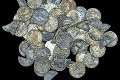 Hľadačovi pokladov sa splnil tajný sen: Na poli našiel mince, ich počet vás prekvapí