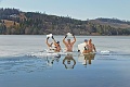 Piati otužilci vyskúšali najchladnejšiu priehradu Slovenska: Tento ľadový kúpeľ je len pre skutočných odvážlivcov