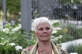 Legendárna Judi Dench vyvrátila dohady o konci kariéry: Dôchodok? Tak to ani náhodou!