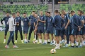 Maďarsko - Slovensko ONLINE: Slováci zvládli nervózne derby s Maďarskom