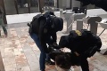 V rukách polície je už aj druhý výtržník z Tehelného pola: Prečo nepomohol kamerový systém na Slovane?
