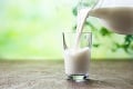 Spotreba mlieka na Slovensku stagnuje: Za európskym priemerom výrazne zaostávame
