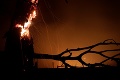 V brazílskej Amazónii zaznamenali v auguste cez 30 000 požiarov: Oproti minulému roku to je trojnásobok