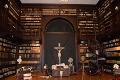 Lekárske tajomstvá oponickej knižnice vás dostanú: Vystavujú 549-ročný herbár aj Hippokratove výskumy!