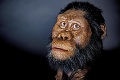 Lebka stará 3,8 mil. rokov pomáha pochopiť vývoj ľudstva: Vedci odhalili tvár nášho pra pra pradedka