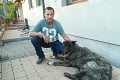 Miroslav zachránil „obludu“, ktorej sa mnohí báli: Slovenský pes baskervillský miluje deti