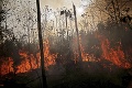 Požiare v Amazónii neutíchajú: Pľúca planéty spaľujú plamene, domorodé kmene prišli o celý svet!