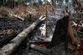 Amnesty International: Za požiare v Amazonskom pralese môže brazílska vláda