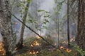 Požiare v Rusku: Plamene zničili už vyše 14 000 hektárov lesa