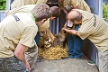 V Bojniciach chovajú 4 vzácne šelmy: Takéto levy nájdete už len v zoo!