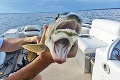 Američanke sa podaril bizarný úlovok: Ryba s dvomi ústami!
